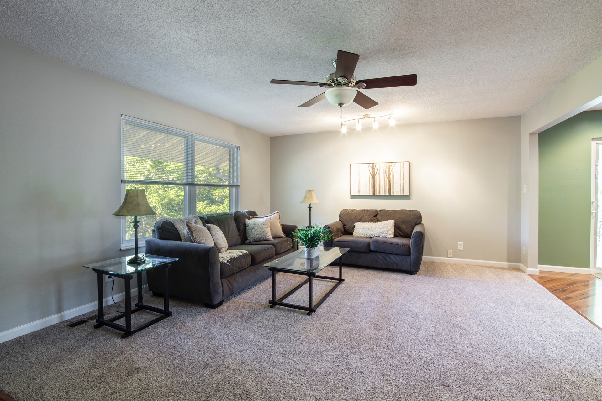 A picture of the living room